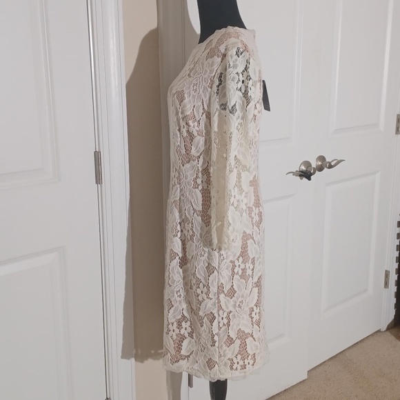 ADRIANNA PAPELL NWT Ivory/Nude Lace Sheath Dress 10/12 - Picture 6 of 9